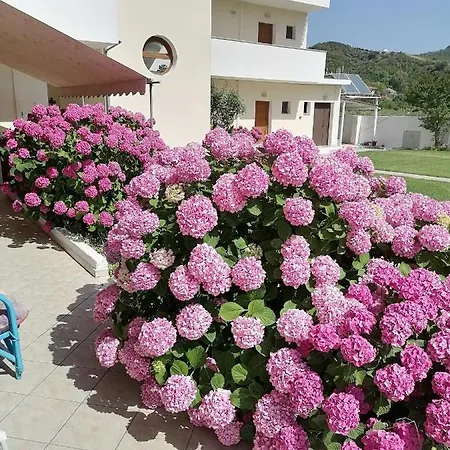 Palatino Διαμέρισμα *