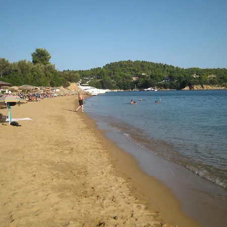 Palatino Αγία Παρασκευή